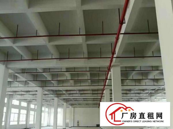  大朗象山工业城原房东可分租楼上三楼1000方13元，带装修