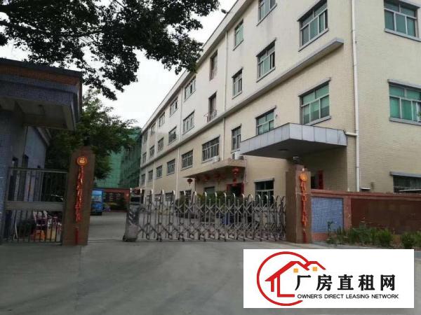  大朗象山工业城原房东可分租楼上三楼1000方13元，带装修