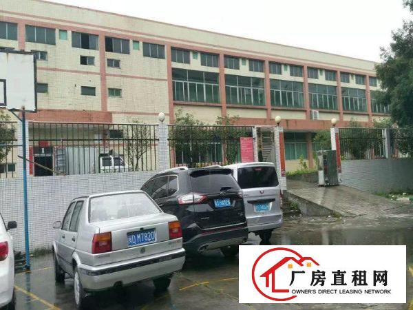  大朗镇经典独院厂房两层3000平方出租，不限行业