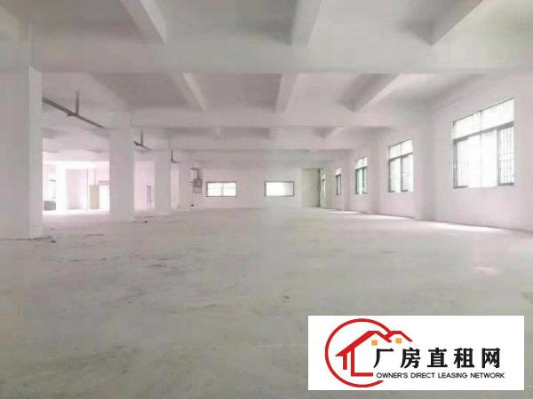 大朗镇经典独院厂房两层3000平方出租，不限行业