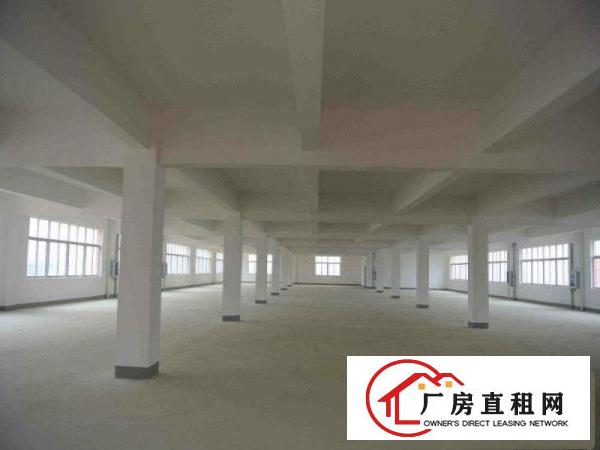 常平木棆厂房出租2500平超合适做口罩，医疗用品，空地大