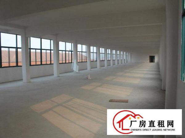  常平木棆厂房出租2500平超合适做口罩，医疗用品，空地大