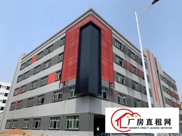  常平木棆厂房出租2500平超合适做口罩，医疗用品，空地大