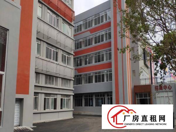  常平木棆厂房出租2500平超合适做口罩，医疗用品，空地大