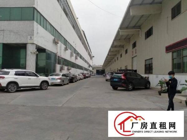  大朗原房东独院钢构厂房9200平方出租可办环评可分租