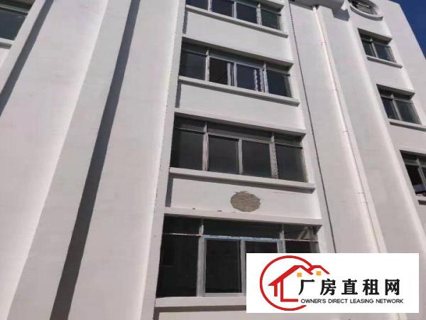  常平国际创新港高层高7米全新厂房出租，带牛角可行车可环评