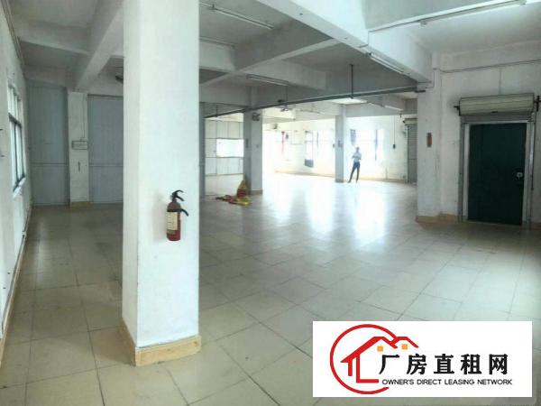  大朗杨涌新出楼上厂房600平厂房形象好位置佳易招工