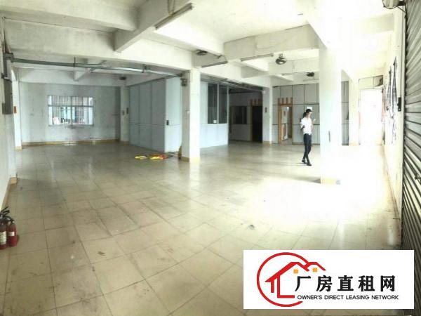  大朗杨涌新出楼上厂房600平厂房形象好位置佳易招工