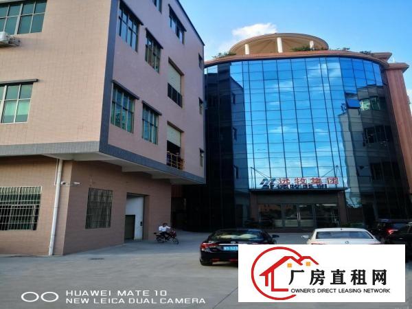  出租大朗美景中路一楼1100平厂房现成办公室形象非常好易招工