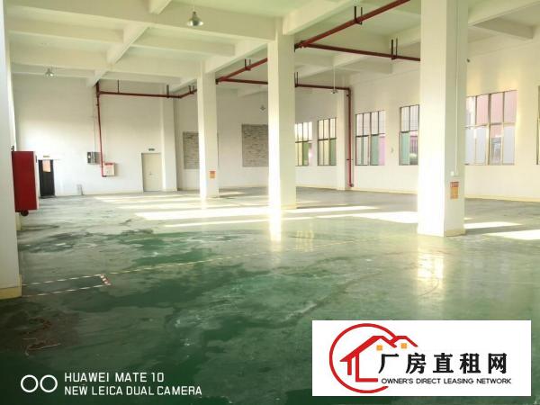  出租大朗美景中路一楼1100平厂房现成办公室形象非常好易招工