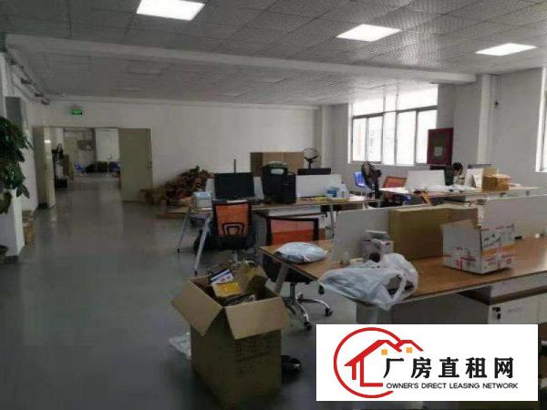  大朗大井头出租精装修办公厂房500平，办公设施齐全，现成装修