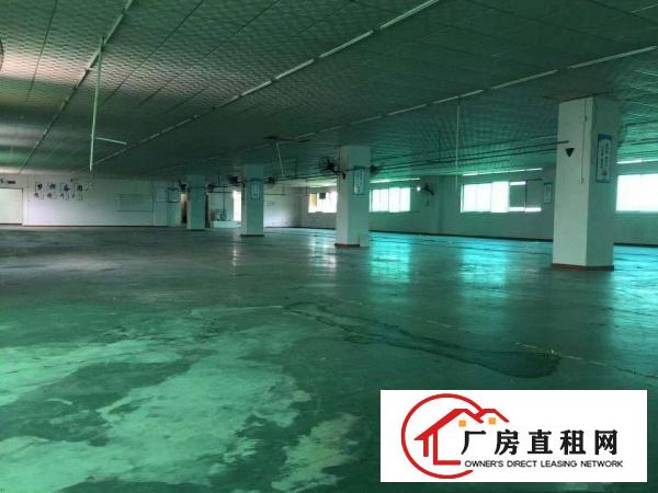  大朗新马莲超靓独院9500方，16元带装修证件齐全空地大