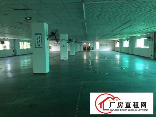  大朗新马莲超靓独院9500方，16元带装修证件齐全空地大