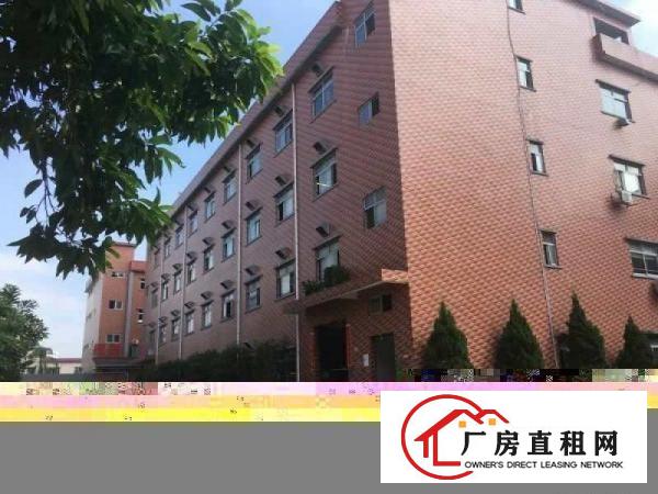  降价了，大朗原电子厂分租一二楼共计3200方，租15元带装修