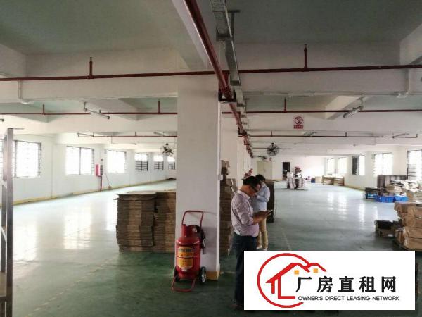  降价了，大朗原电子厂分租一二楼共计3200方，租15元带装修