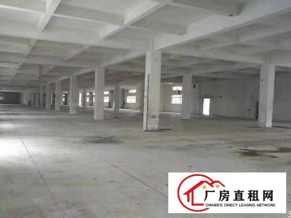  黄草朗一楼1100平方招租正规工业园可办环评有办公室配备饭堂