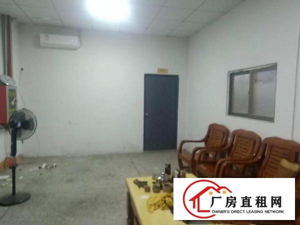  大路边一楼450平,大朗黄草朗新出标准厂房,水电齐全,带装修