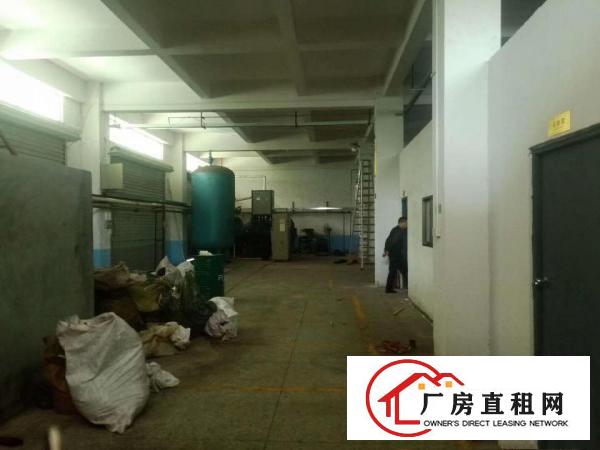  大路边一楼450平,大朗黄草朗新出标准厂房,水电齐全,带装修