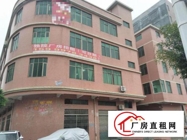  大路边一楼450平,大朗黄草朗新出标准厂房,水电齐全,带装修