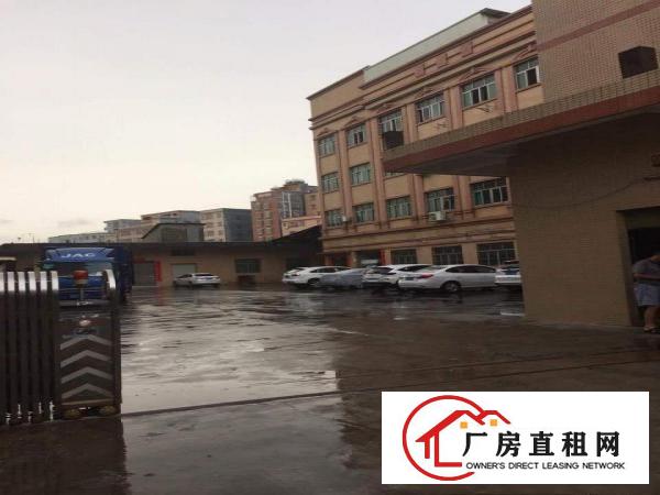  大朗新马莲新出标准厂房一二楼，每层800方，13元可分租