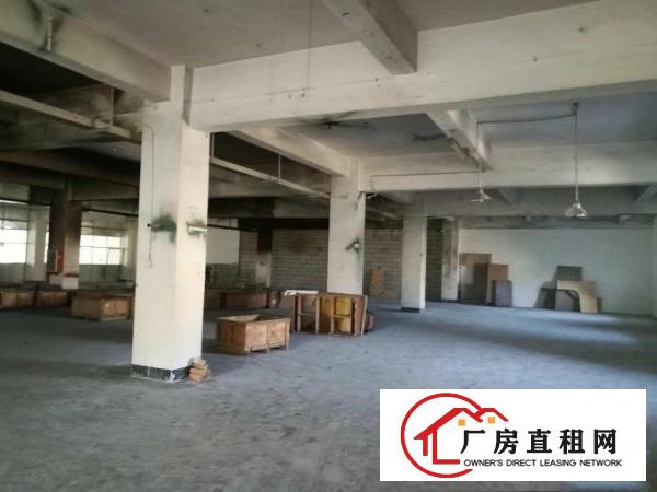  大朗新马莲新出标准厂房一二楼，每层800方，13元可分租