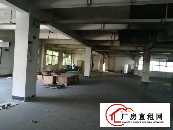  大朗新马莲新出标准厂房一二楼，每层800方，13元可分租