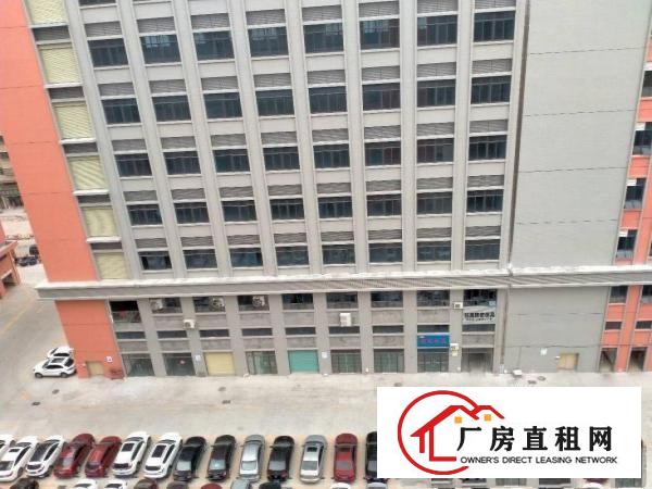  东莞大朗洋乌村全新厂房出租600至10000大小可以分租