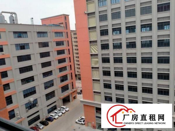  东莞大朗洋乌村全新厂房出租600至10000大小可以分租