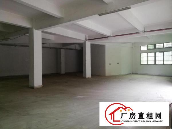  大朗洋乌新出楼上厂房1180平办公室精装修线好水电线路齐全