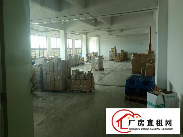  大朗松柏朗新出楼上厂房850平精装修办公室可办环评