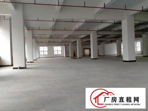  大朗洋乌蔡边原房东全新厂房1000平方出租可办环评