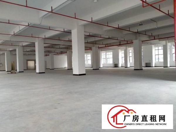  大朗洋乌蔡边原房东全新厂房1000平方出租可办环评
