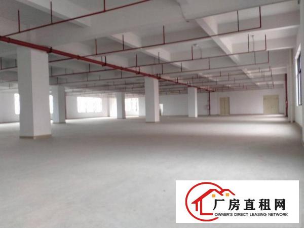  大朗洋乌蔡边原房东全新厂房1000平方出租可办环评