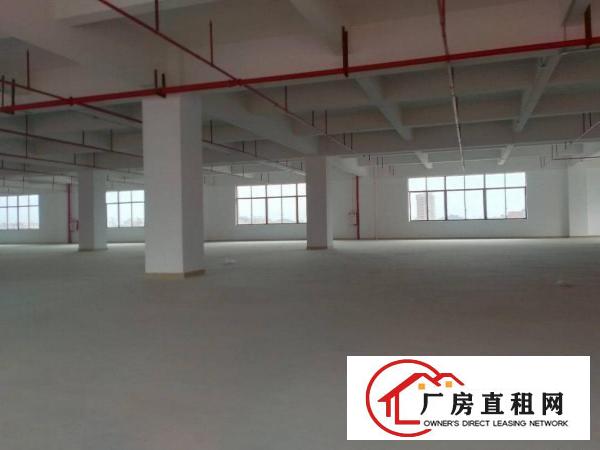  大朗洋乌蔡边原房东全新厂房1000平方出租可办环评