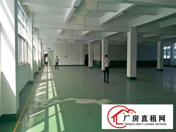  （招租）大朗工业园新空出标准3楼1000平厂房，带豪华装修