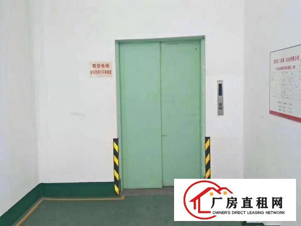  （招租）大朗工业园新空出标准3楼1000平厂房，带豪华装修