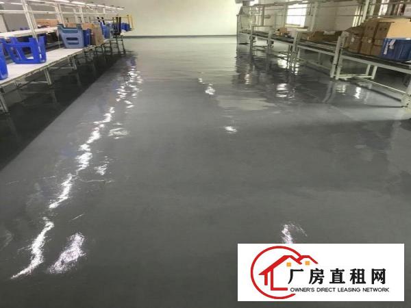  大朗新出带豪华装修办公室1500方厂房出租，实际面积