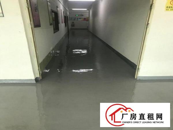  大朗新出带豪华装修办公室1500方厂房出租，实际面积