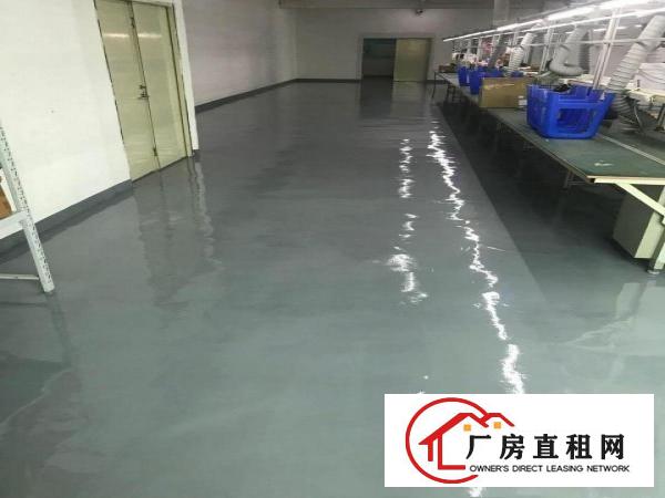  大朗新出带豪华装修办公室1500方厂房出租，实际面积