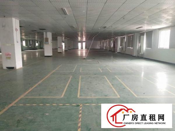  东莞市大朗镇近华为10000平方独院厂房出租适合电子五金设备