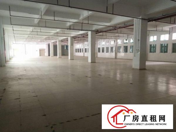  东莞市大朗镇近华为10000平方独院厂房出租适合电子五金设备