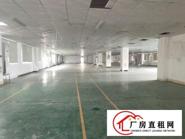  东莞市大朗镇近华为10000平方独院厂房出租适合电子五金设备