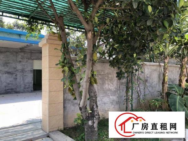  别墅型经典小独院600平，空地800平原房东出租