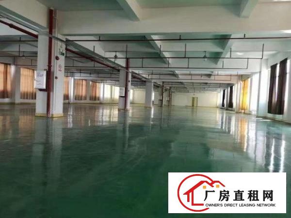  大朗九成新花园式厂房，面积10500平，带消防空地大
