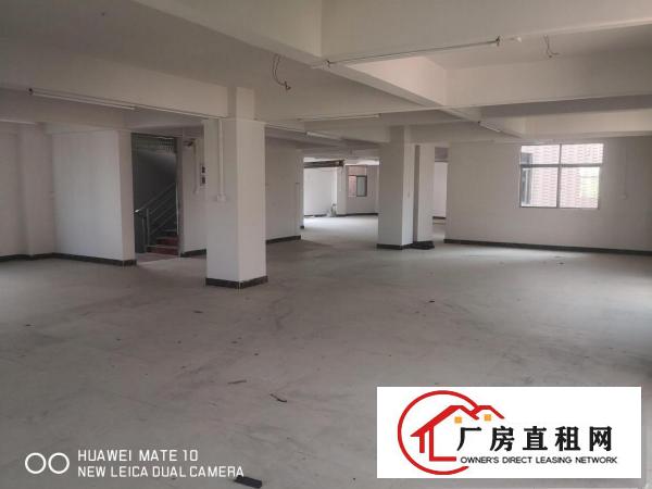  大朗犀牛坡新出独栋2000平现成办公室交通方便易招工