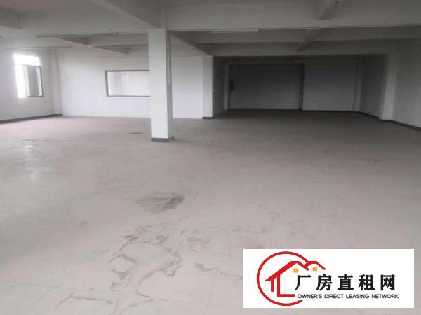  实图）楼上3层各700平，大朗新出厂房带现成装修，可拎包入驻