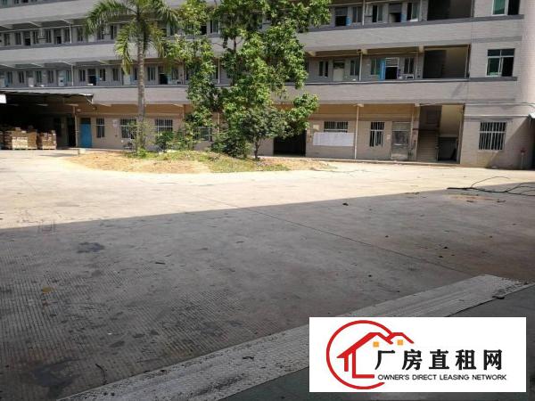  小独院厂房二层2400平，首层6米配牛角位，空地1800平