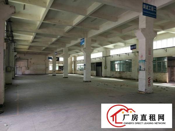  小独院厂房二层2400平，首层6米配牛角位，空地1800平