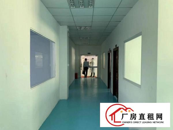  招租大朗镇中心二楼1000平招租有前台，办公室，水电齐全