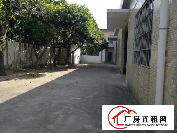  独院厂房800平方，宿舍办公室500平方，空地600平方